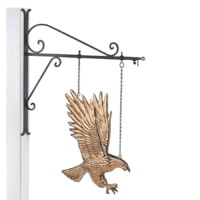 hanging american bald eagle 1969ph hanging american bald eagle polished silo 1