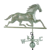 horse 580v1 horse blue verde silo 1