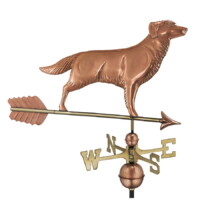 golden retriever with arrow 644pa golden retriever with arrow polished silo 1