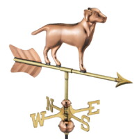 labrador retriever 810pr cottage labrador retriever polished silo 1