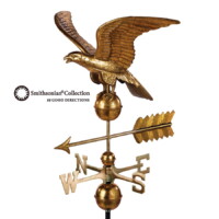 smithsonian eagle 955gl smithsonian eagle golden leaf silo 1