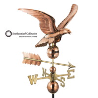smithsonian eagle 955p smithsonian eagle polished silo 1