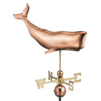 whale 9660p whale polished silo 1