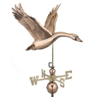 feathered goose 9663p feathered goose polished silo 1