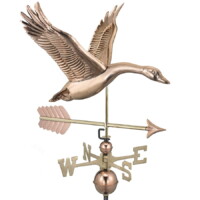 feathered goose with arrow 9663pa feathered goose with arrow polished silo 1